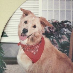 Meet your Posher, Tricia